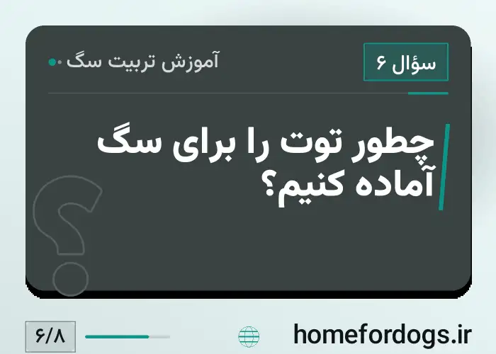 چطور توت را برای سگ آماده کنیم؟