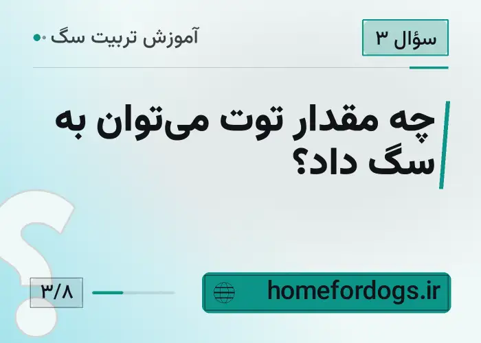 چه مقدار توت می‌توان به سگ داد؟