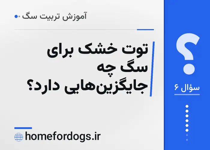 توت خشک برای سگ چه جایگزین‌هایی دارد؟