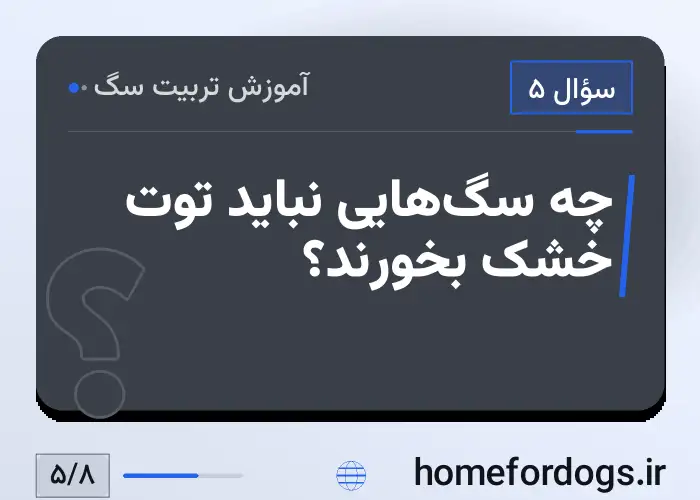 چه سگ‌هایی نباید توت خشک بخورند؟