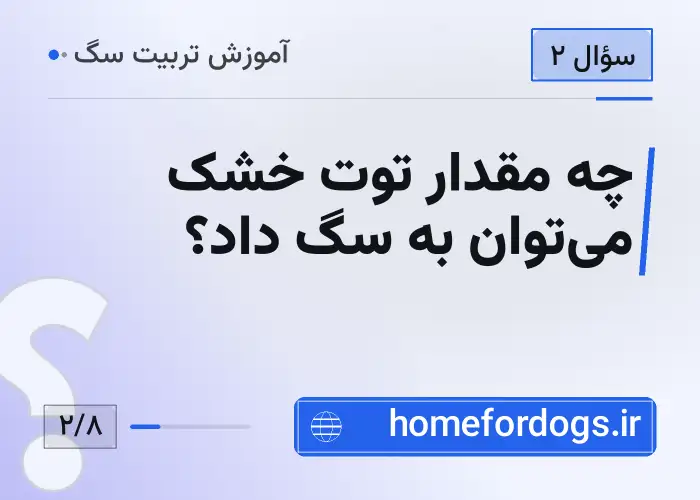 چه مقدار توت خشک می‌توان به سگ داد؟
