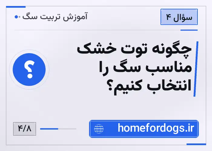 چگونه توت خشک مناسب سگ را انتخاب کنیم؟