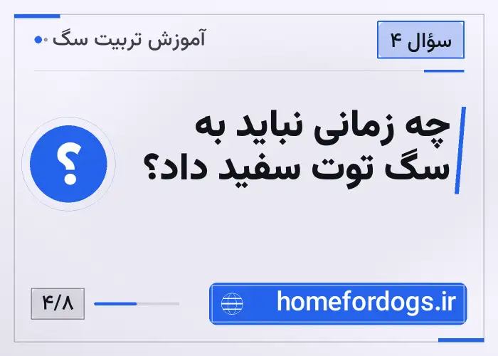 چه زمانی نباید به سگ توت سفید داد؟