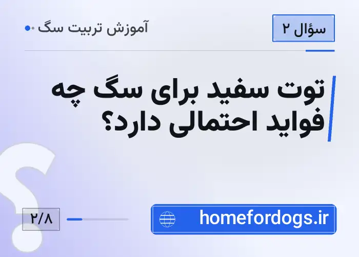 توت سفید برای سگ چه فواید احتمالی دارد؟