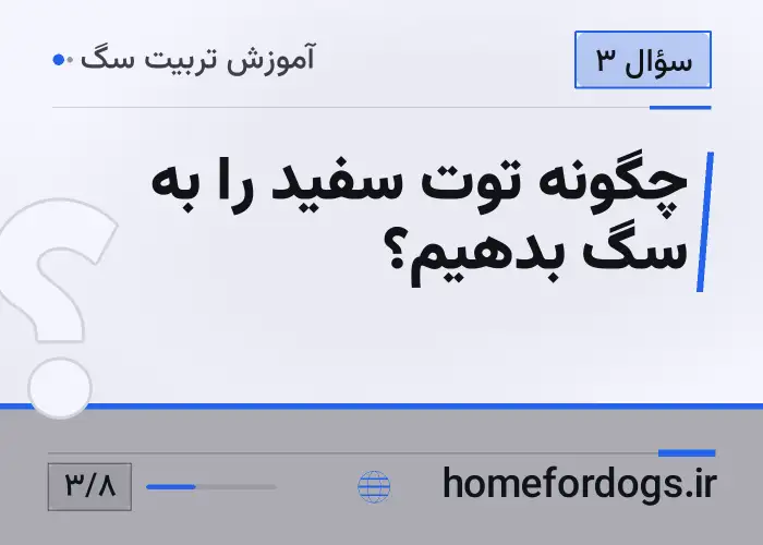 چگونه توت سفید را به سگ بدهیم؟