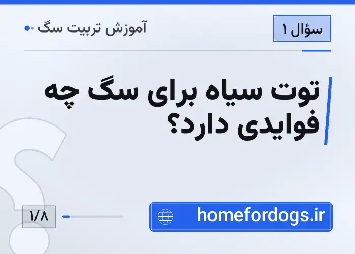 توت سیاه برای سگ چه فوایدی دارد؟