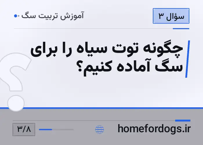 چگونه توت سیاه را برای سگ آماده کنیم؟
