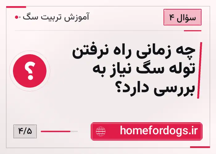 چه زمانی راه نرفتن توله سگ نیاز به بررسی دارد؟