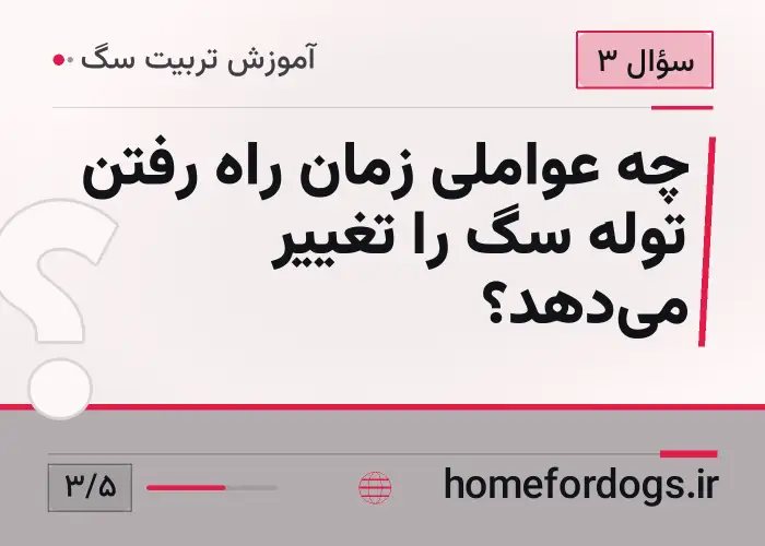 چه عواملی زمان راه رفتن توله سگ را تغییر می‌دهد؟