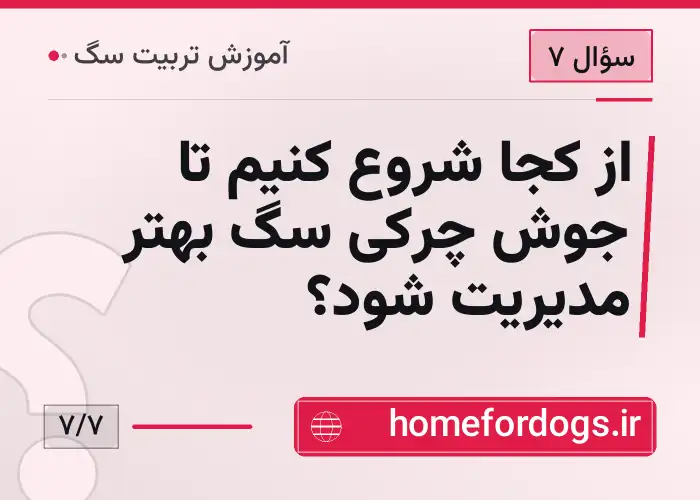 از کجا شروع کنیم تا جوش چرکی سگ بهتر مدیریت شود؟
