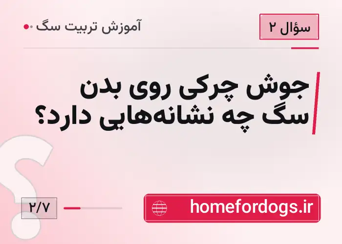 جوش چرکی روی بدن سگ چه نشانه‌هایی دارد؟