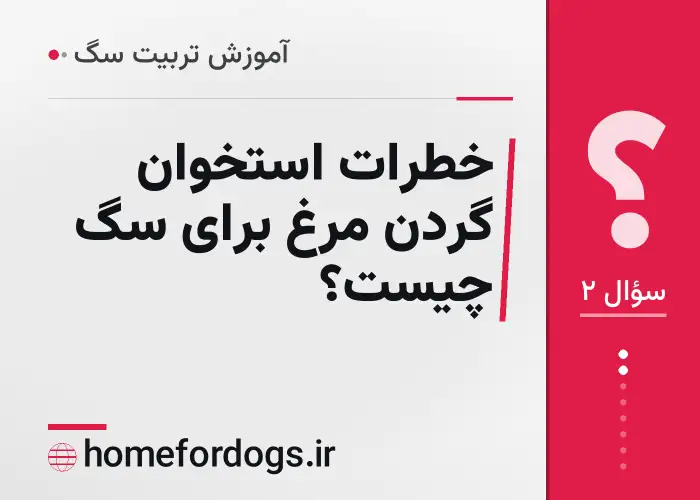 خطرات استخوان گردن مرغ برای سگ چیست؟