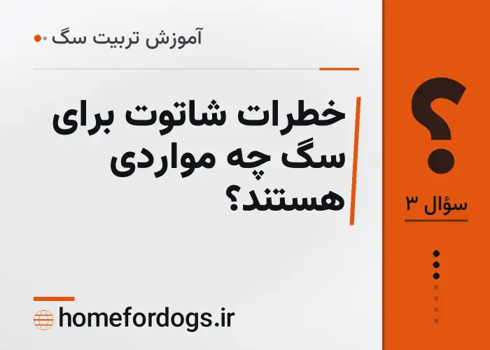 خطرات شاتوت برای سگ چه مواردی هستند؟