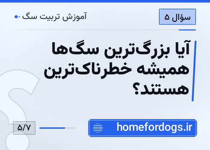 آیا بزرگ‌ترین سگ‌ها همیشه خطرناک‌ترین هستند؟
