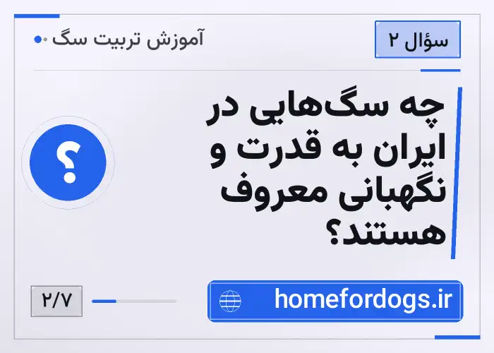 چه سگ‌هایی در ایران به قدرت و نگهبانی معروف هستند؟