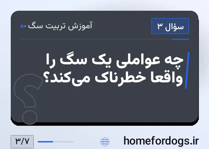 چه عواملی یک سگ را واقعاً خطرناک می‌کند؟