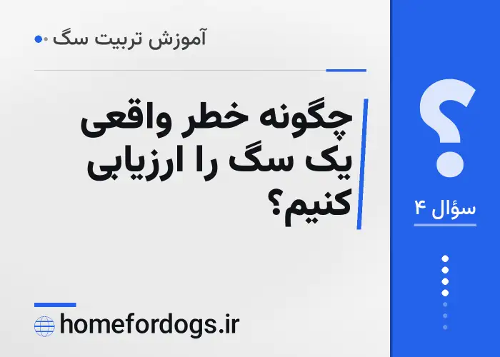 چگونه خطر واقعی یک سگ را ارزیابی کنیم؟