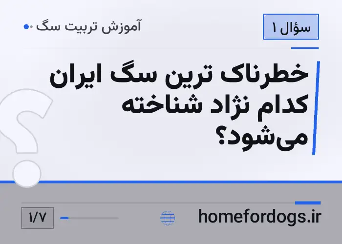 خطرناک ترین سگ ایران کدام نژاد شناخته می‌شود؟