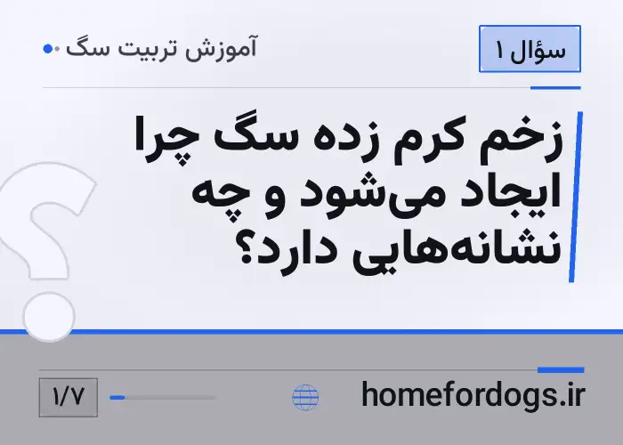 زخم کرم زده سگ چرا ایجاد می‌شود و چه نشانه‌هایی دارد؟