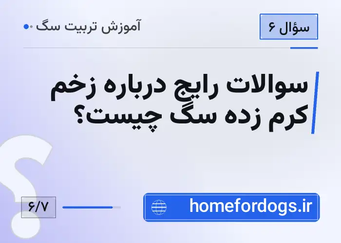 سوالات رایج درباره زخم کرم زده سگ چیست؟