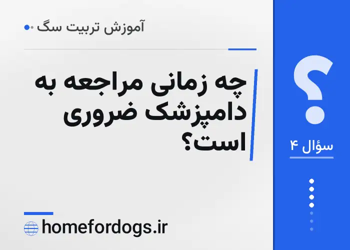 چه زمانی مراجعه به دامپزشک ضروری است؟