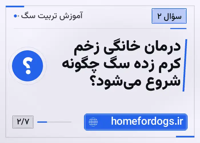 درمان خانگی زخم کرم زده سگ چگونه شروع می‌شود؟
