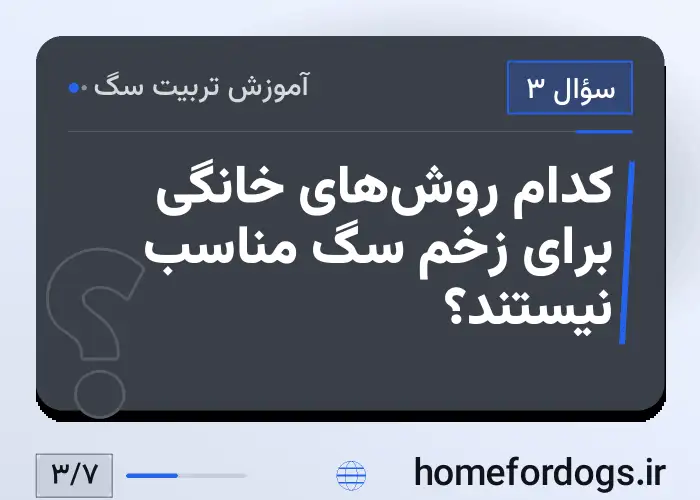 کدام روش‌های خانگی برای زخم سگ مناسب نیستند؟