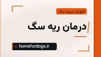 درمان ریه سگ