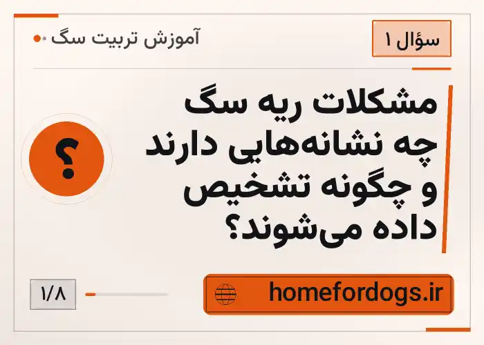 مشکلات ریه سگ چه نشانه‌هایی دارند و چگونه تشخیص داده می‌شوند؟