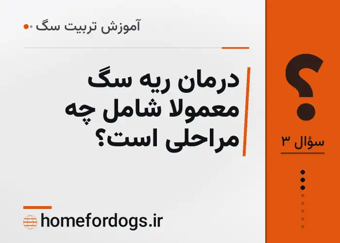 درمان ریه سگ معمولاً شامل چه مراحلی است؟