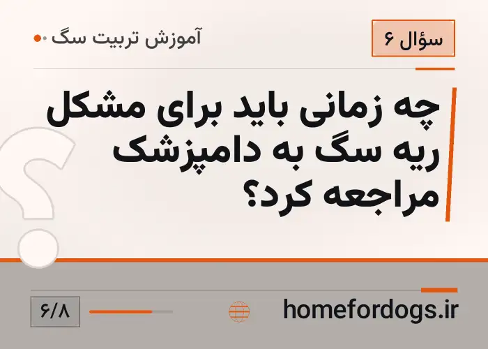 چه زمانی باید برای مشکل ریه سگ به دامپزشک مراجعه کرد؟