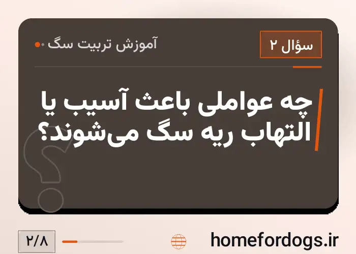 چه عواملی باعث آسیب یا التهاب ریه سگ می‌شوند؟