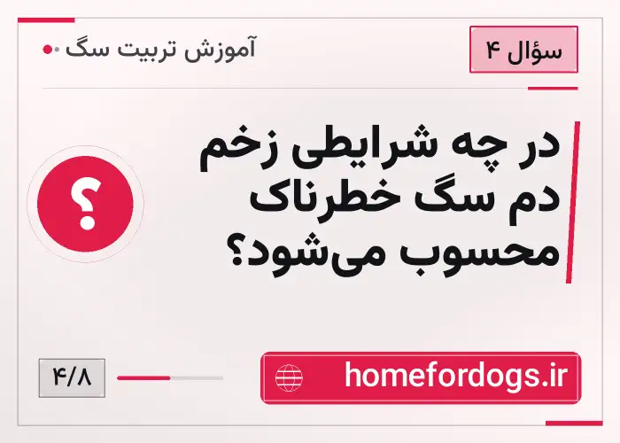 در چه شرایطی زخم دم سگ خطرناک محسوب می‌شود؟