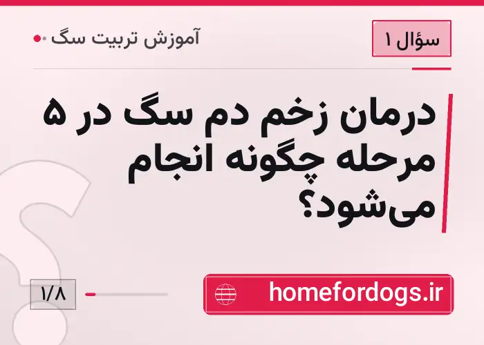 درمان زخم دم سگ در ۵ مرحله چگونه انجام می‌شود؟