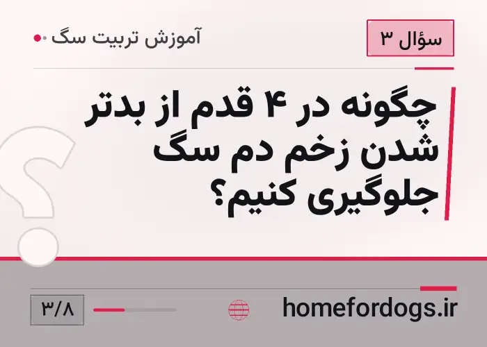 چگونه در ۴ قدم از بدتر شدن زخم دم سگ جلوگیری کنیم؟
