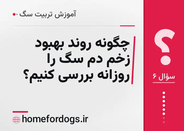چگونه روند بهبود زخم دم سگ را روزانه بررسی کنیم؟