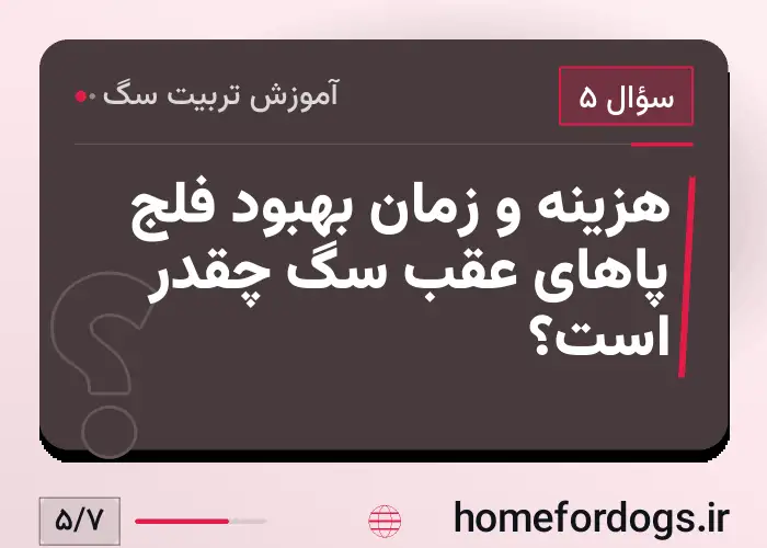 هزینه و زمان بهبود فلج پاهای عقب سگ چقدر است؟