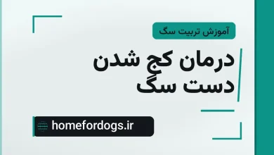 درمان کج شدن دست سگ