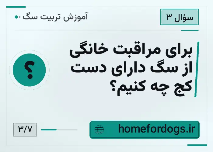 برای مراقبت خانگی از سگ دارای دست کج چه کنیم؟