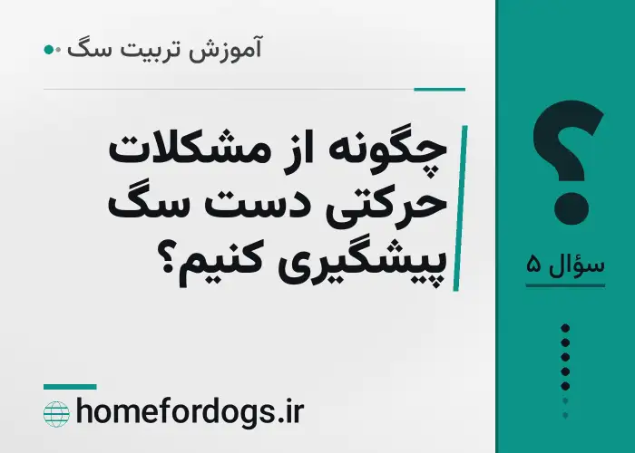 چگونه از مشکلات حرکتی دست سگ پیشگیری کنیم؟