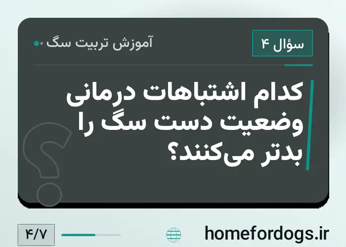 کدام اشتباهات درمانی وضعیت دست سگ را بدتر می‌کنند؟