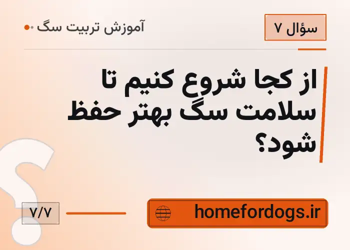 از کجا شروع کنیم تا سلامت سگ بهتر حفظ شود؟