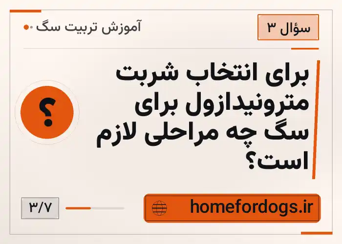 برای انتخاب شربت مترونیدازول برای سگ چه مراحلی لازم است؟