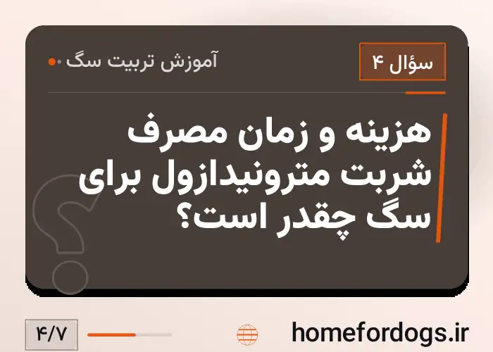 هزینه و زمان مصرف شربت مترونیدازول برای سگ چقدر است؟