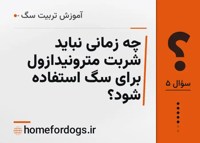 چه زمانی نباید شربت مترونیدازول برای سگ استفاده شود؟