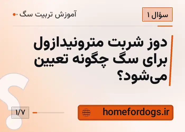 دوز شربت مترونیدازول برای سگ چگونه تعیین می‌شود؟