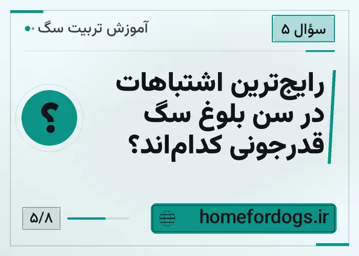 رایج‌ترین اشتباهات در سن بلوغ سگ قدرجونی کدام‌اند؟