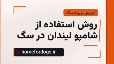 روش استفاده از شامپو لیندان در سگ