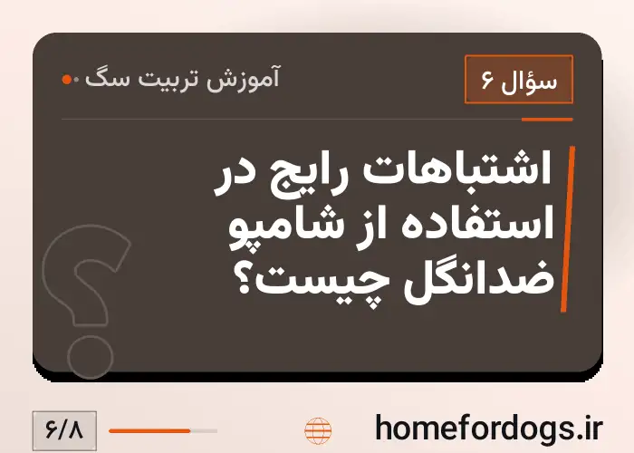 اشتباهات رایج در استفاده از شامپو ضدانگل چیست؟