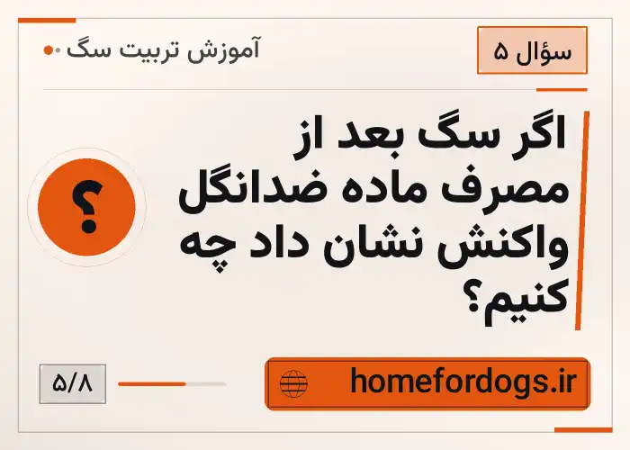 اگر سگ بعد از مصرف ماده ضدانگل واکنش نشان داد چه کنیم؟